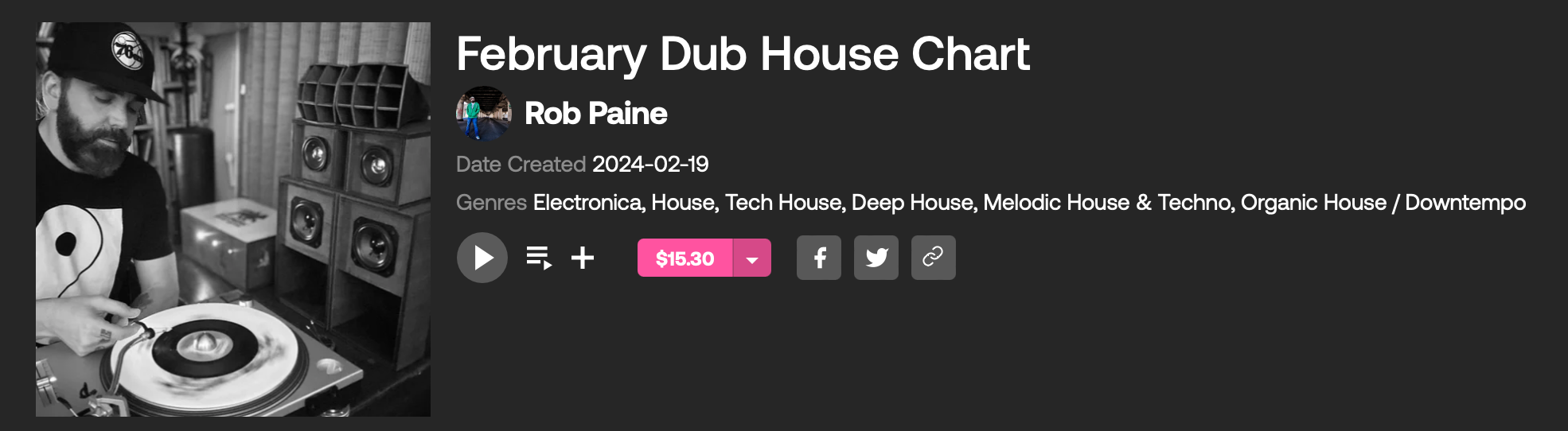 Rob Paine February 24' Dub House Beatport Chart